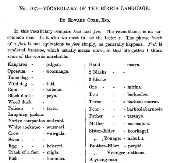 Vocabulary of the Birria Language (Curr, 1874)