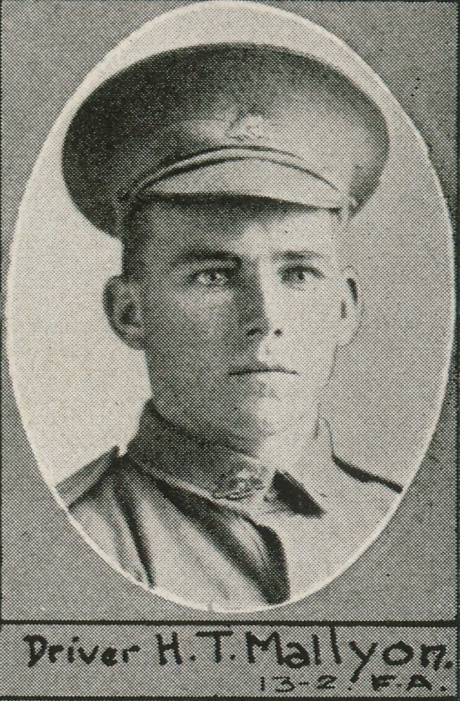Driver H.T. Mallyon 13-2 F.A., one of the soldiers photographed in The Queenslander Pictorial, supplement to The Queenslander, 1916.