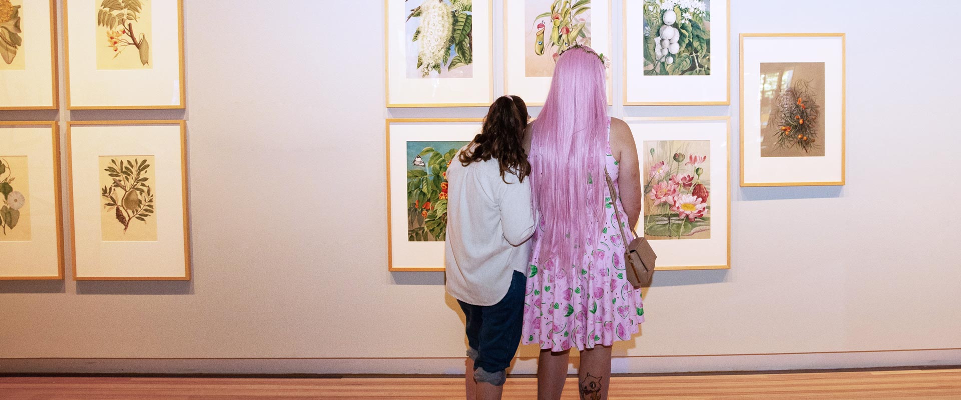 Two visitors viewing the botanical illustrations in the Entwined exhibition. 