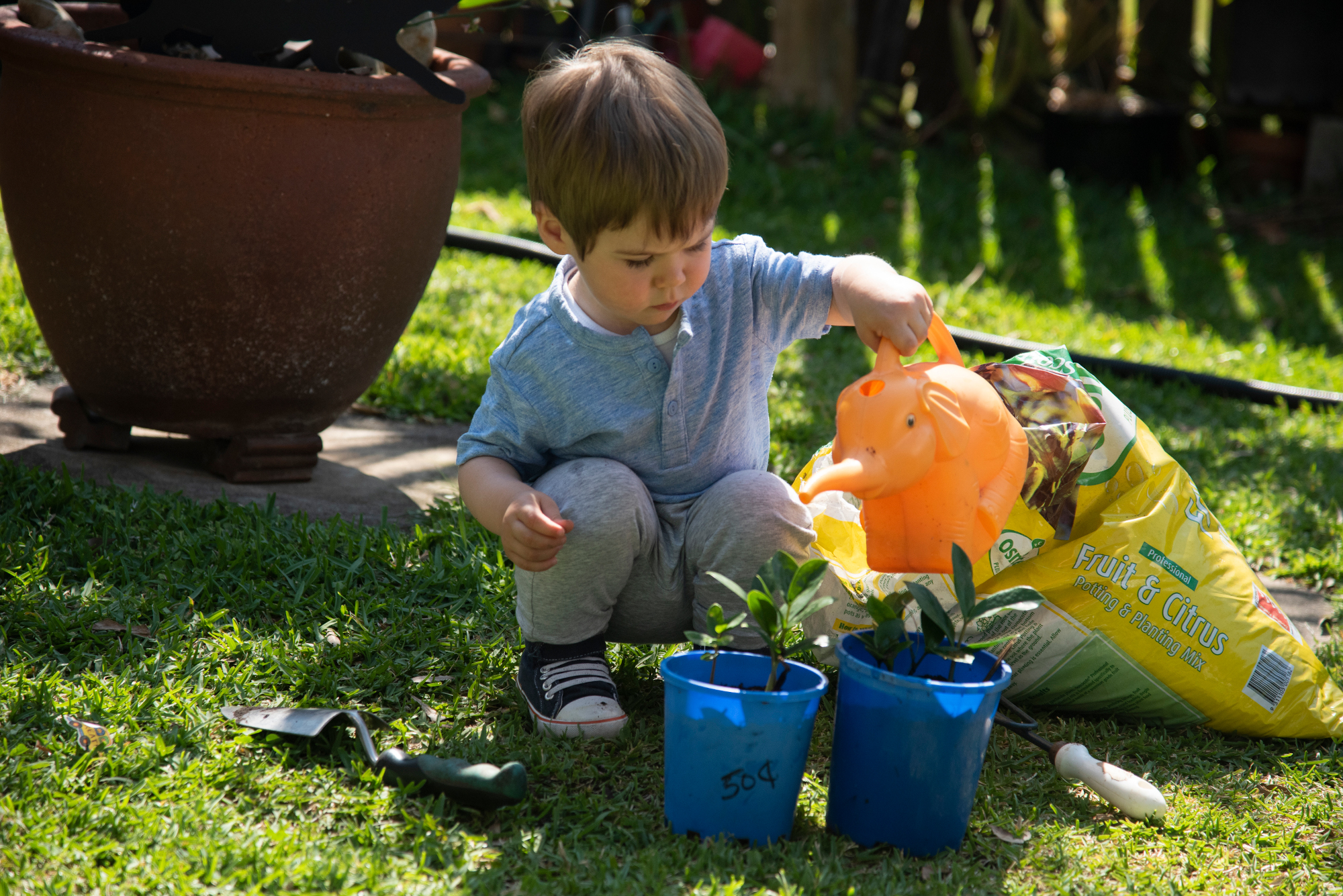 Young boy watering pot plants with elephant watering can