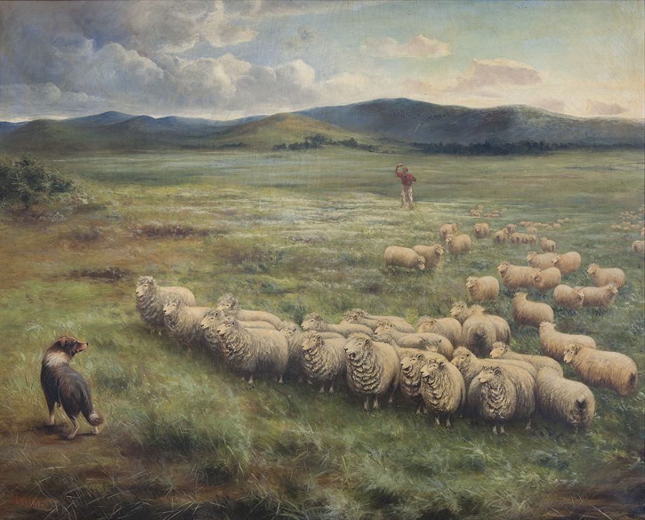 Anthony Alder (1838 – 1915), Lincoln sheep, Homeward Laddie, 1895, Oil on canvas, 109 x 135 cm, John Oxley Library, State Library of Queensland. ACC: 28082