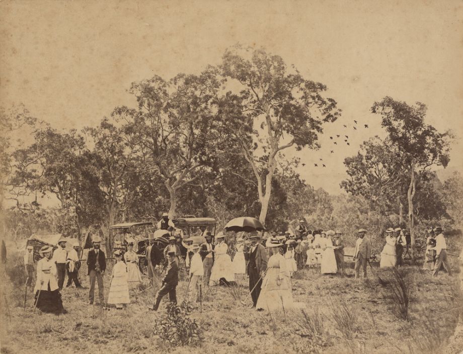 Heinrich Muller, Staff picnic in the Darling Downs area, From Davenport Album, 1877, John Oxley Library, State Library of Queensland. ACC: 9949