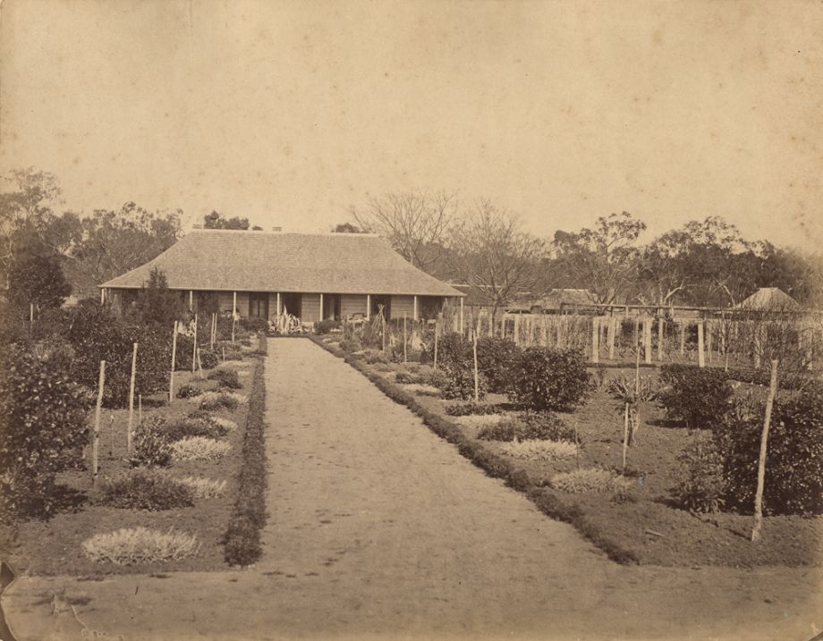 Heinrich Muller, Western Creek Station in the Cecil Plains District of Queensland, From Davenport Album, 1877, John Oxley Library, State Library of Queensland. ACC: 9949