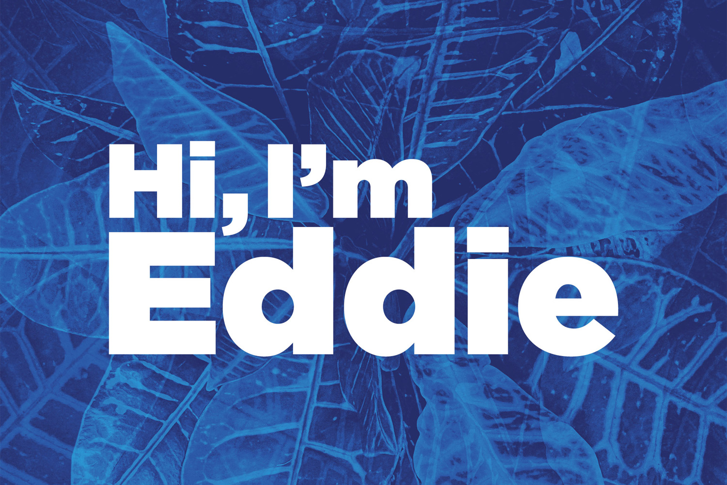 Hi, I'm Eddie