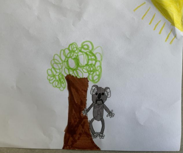 A coloured hand drawn illustration of a Koala beside a tree. 