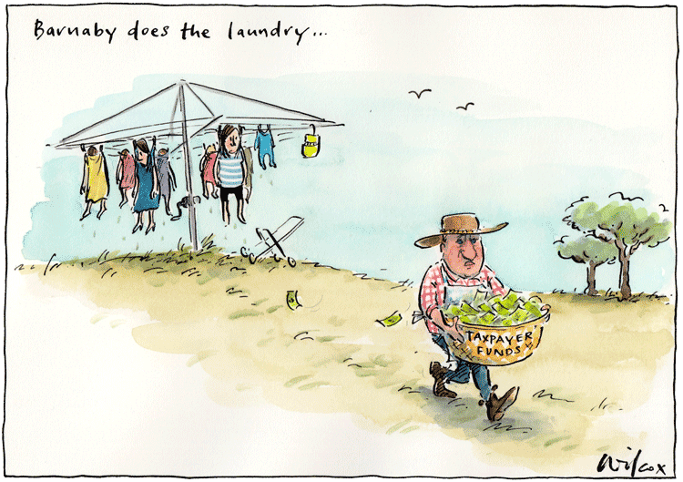 Hung out to Dry by Cathy Wilcox.