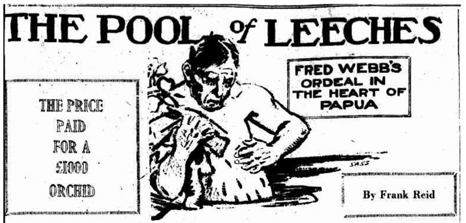 The Pool of Leeches, Smith's Weekly