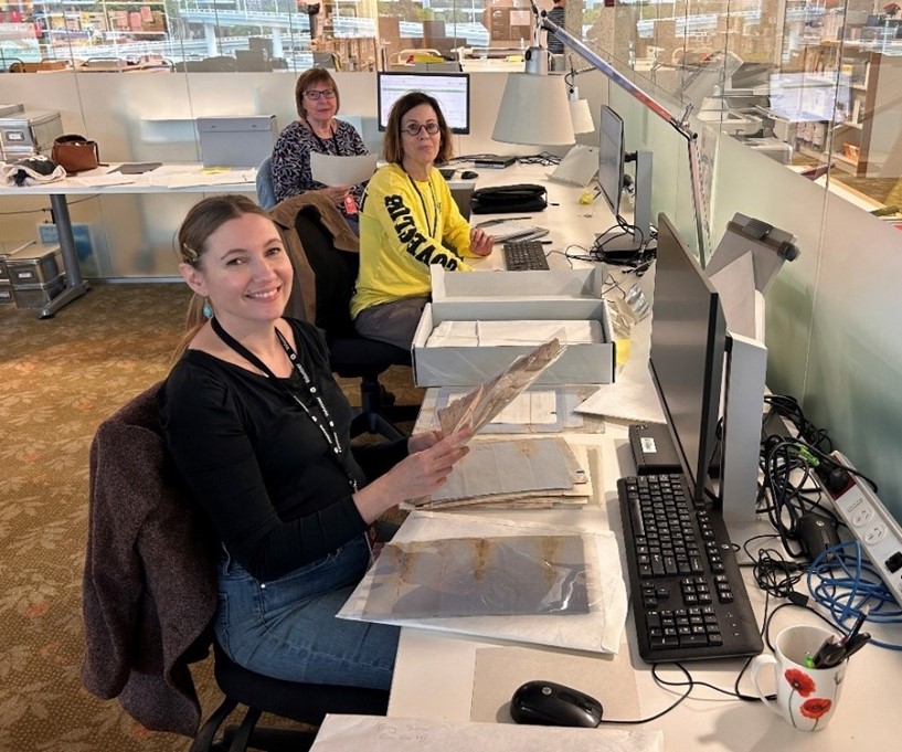 Volunteer Program State Library Of Queensland