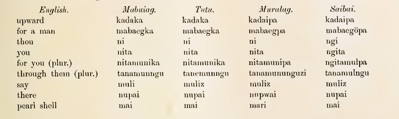 Comparative wordlist from Torres Strait, Cambridge Exhibition (1898).