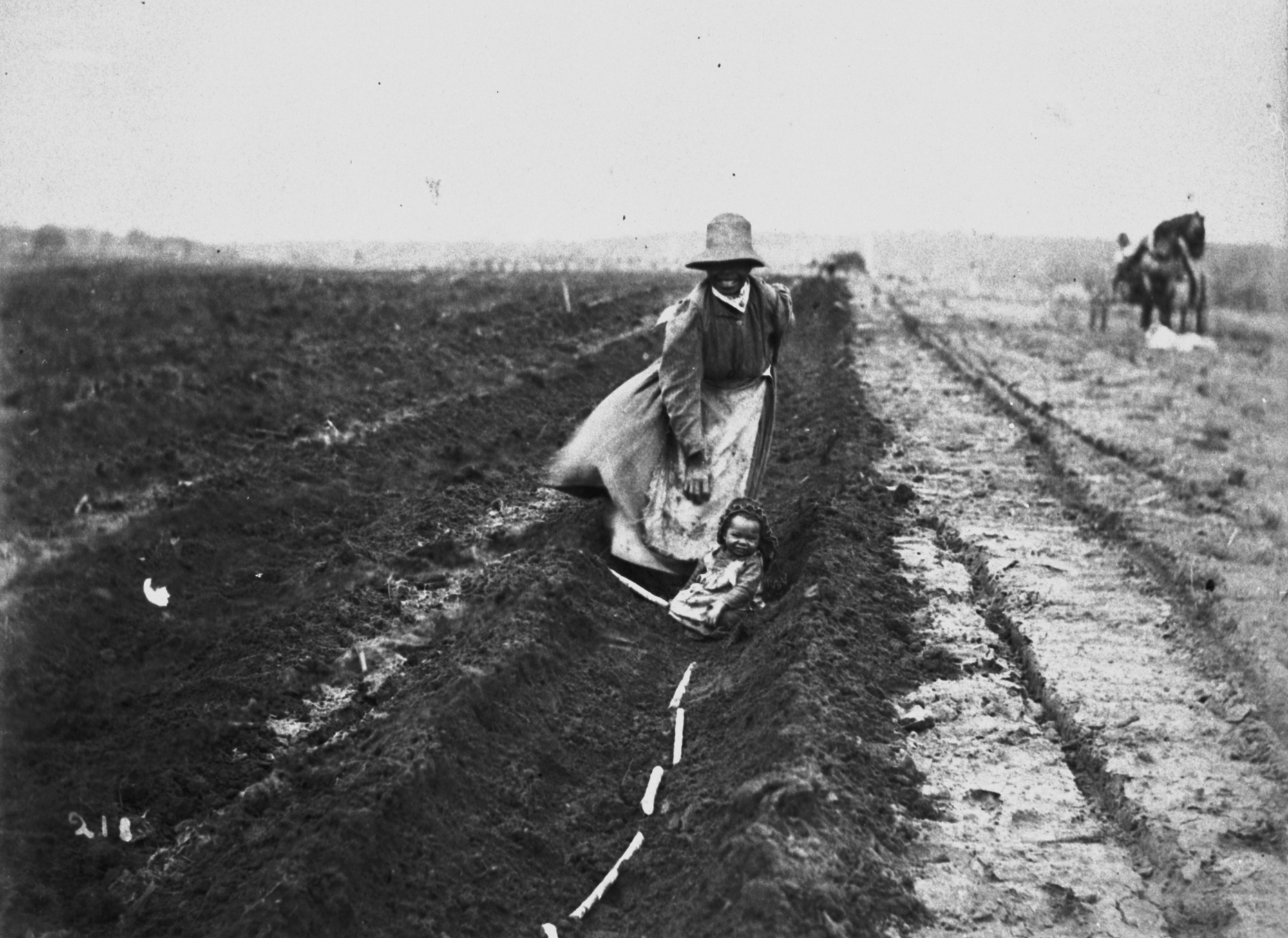 South Sea Islander woman planting sugar cane in a field, 1897 Photographer unknown John Oxley Library, State Library of Queensland Negative no. 142325