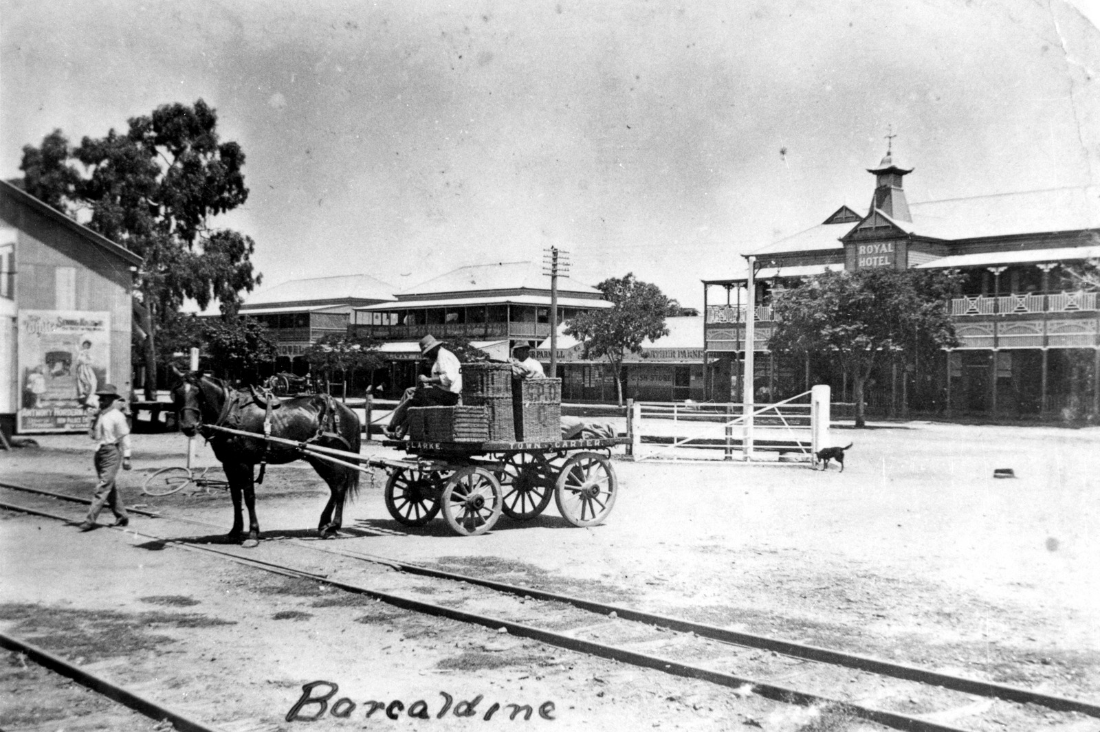 Horse drawn cart crossing the railway line in Barcaldine, 1916 showing the Tree of Knowledge on the left in background