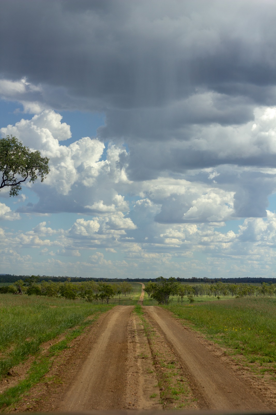 View of dirt road through green pastures and trees, clouds in the sky. 