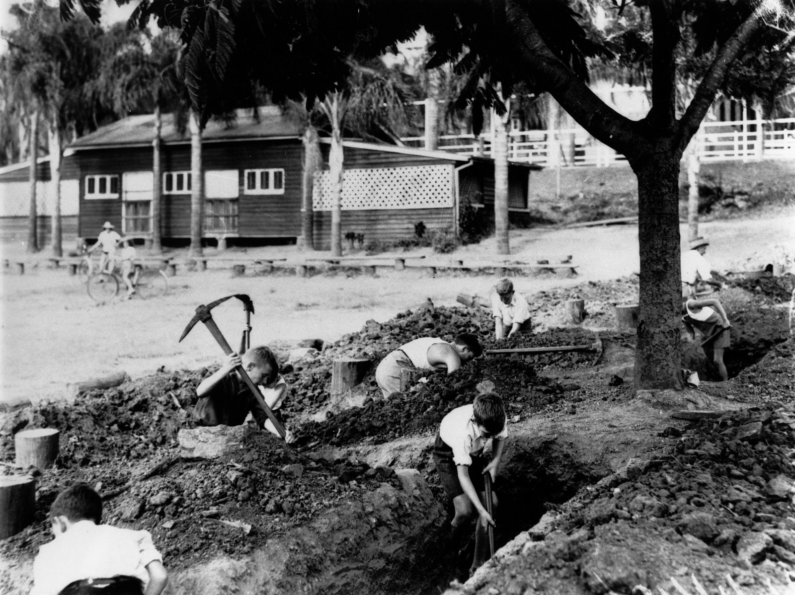  Children digging trenches at Ascot State School, Brisbane, 1942.