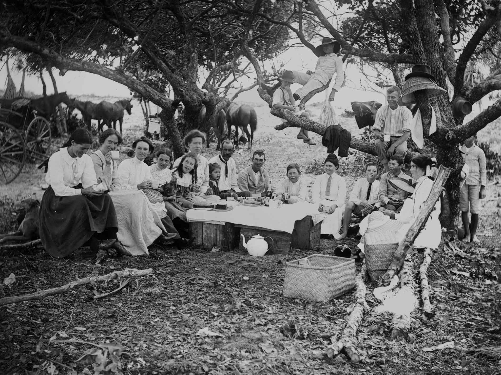 Large family group sitting around a picnic with 3 people in a tree behind, 1900-1910