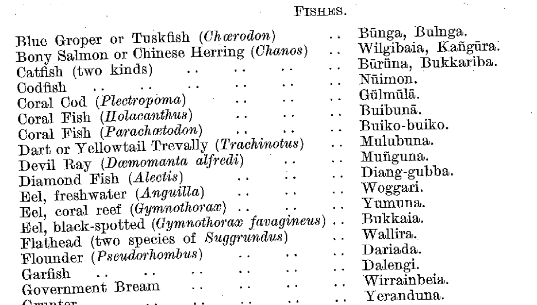 Aboriginal names mostly of marine animals from North Queensland ...