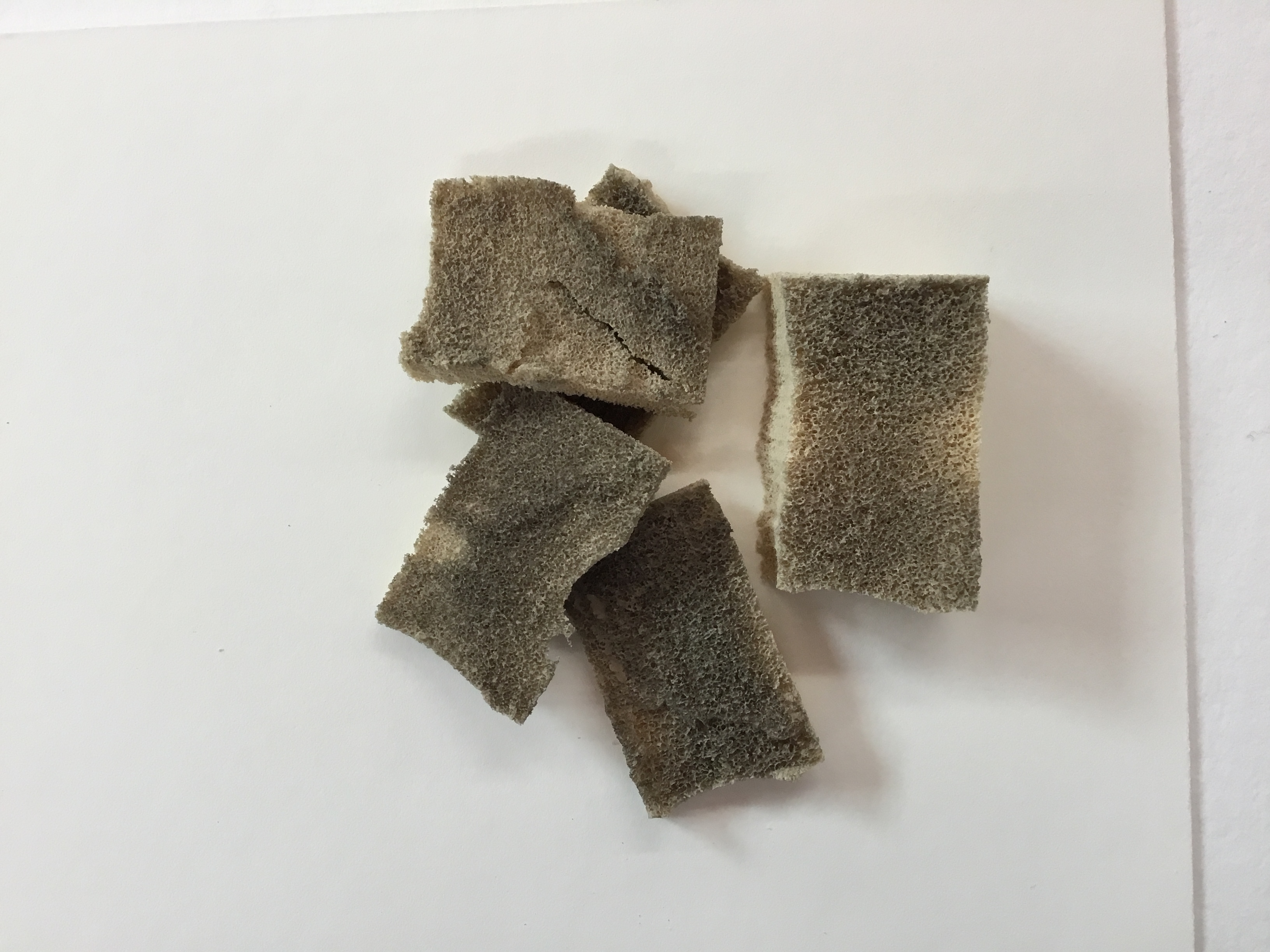 What’s the dirt? Cleaning the Petition State Library Of Queensland