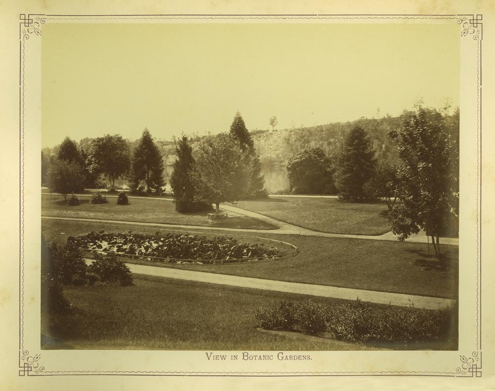  View of the Botanic Gardens in Brisbane, 1875