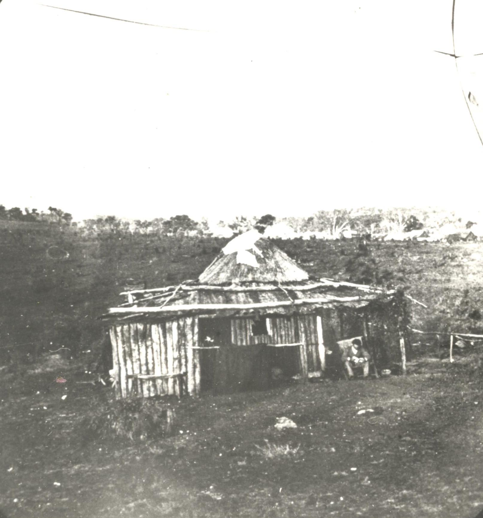 Queensland Places - Ludwig Leichhardt's explorations in Cape York ...