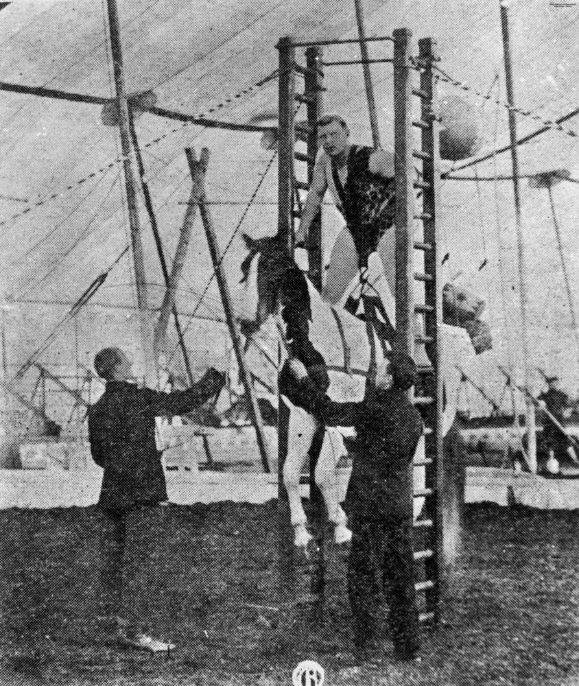 Circus strongman lifting a horse, Brisbane, 1903.