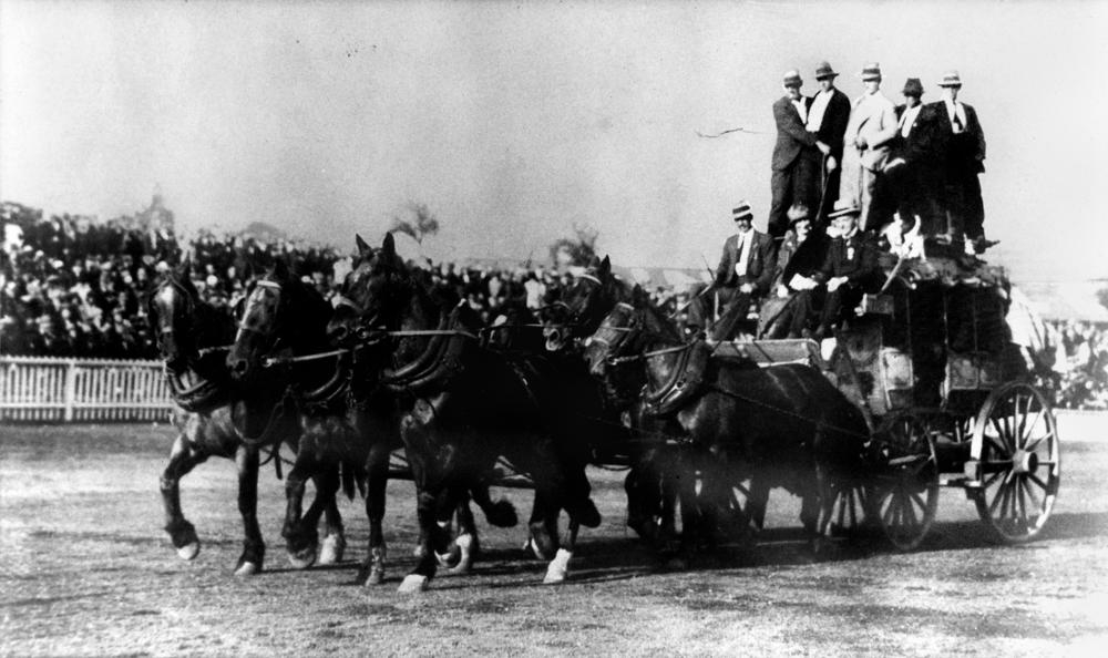 Horse team in action at the Exhibition Ground RNA Show, Brisbane 1925