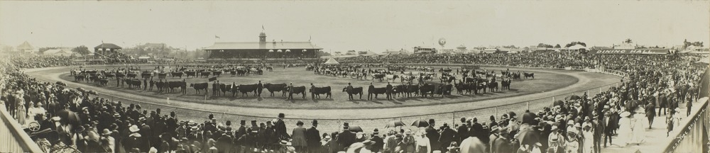 Panorama of the main show arena, Exhibition Ground, Brisbane, ca. 1916. From 7325 Haig Photographs.