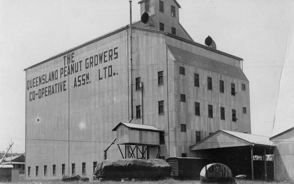 Planting the Peanut in Kingaroy State Library Of Queensland