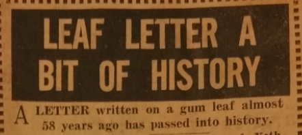 Exceprt from The Courier Mail, 23 March 1968, at the time the 'gum leaf letter' was donated to the Post Office Museum.