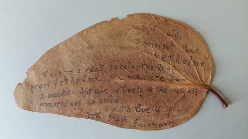 The 'gum leaf letter', 1910. 