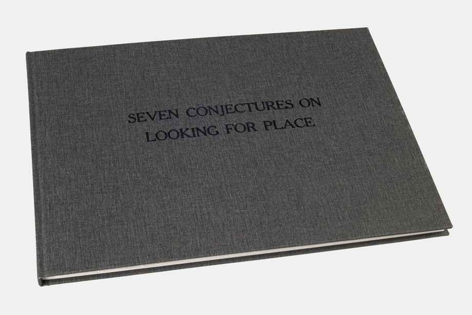 Seven conjectures on look for place, cover