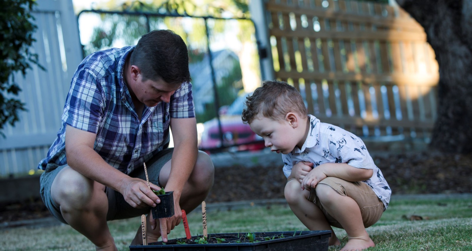 Father and son tending to garden together
