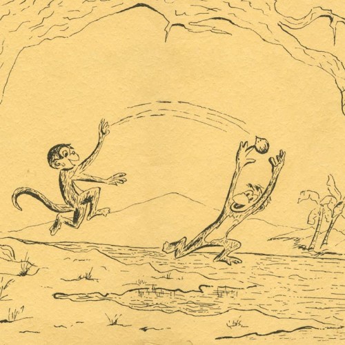 Monkey Walngkanga (Monkey in the Bog) book cover written by Dr. Paul White.