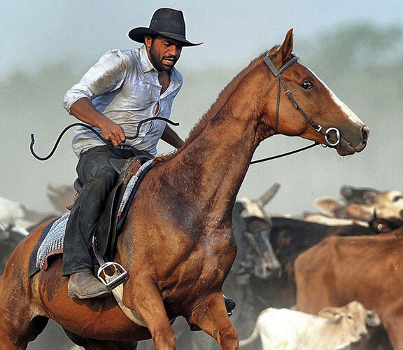 Bruce Martin, Auk Puul Ngantam team member on his horse Jack, Blue Lagoon, Aurukun, November 2012.