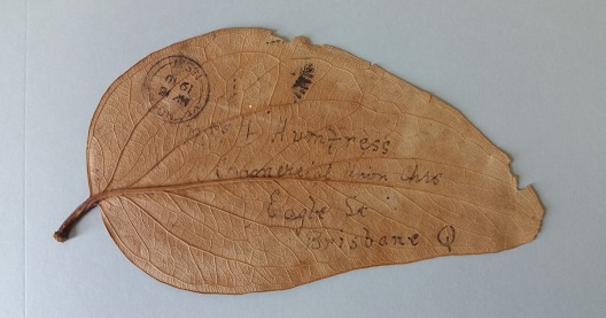 The Gum Leaf Letter | State Library Of Queensland