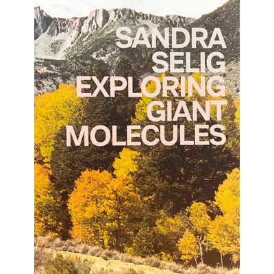 Cover of Exploring Giant Molecules by Sandra Selig