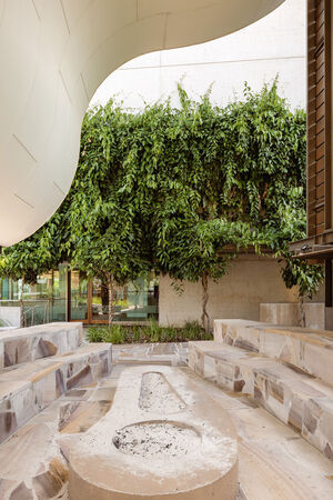 View of the fire pit and green vines in the Talking Circle