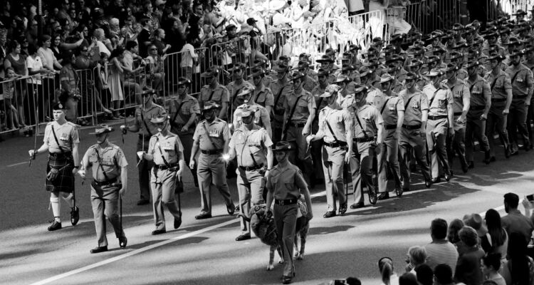 8th/9th Battalion, Royal Australian regiment, marching with their mascot, a Merino ram called John MacArthur, in front of crowds in the Brisbane Anzac Day Parade, 25 April 2015