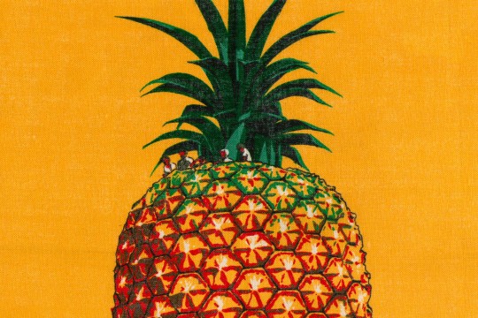 Crop of tourist tea towel featuring the Big Pineapple on an orange background. 
