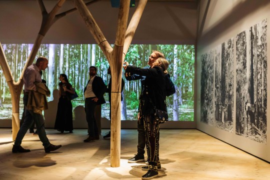 Timber pavilion at the opening night of Purpose built 2023, photograph by Katie Bennett. 