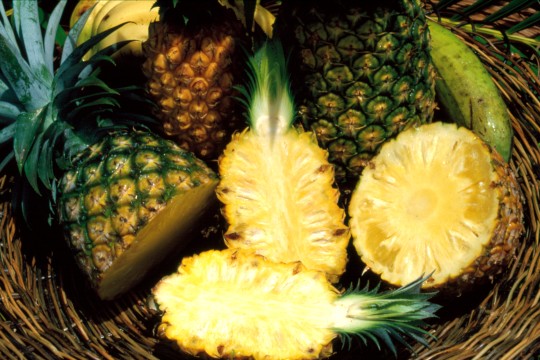 Array of juicy pineapples in a woven basket in Townsville, 1986