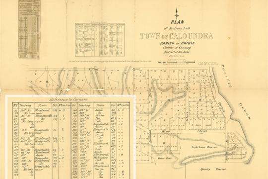 Caloundra Survey Plan 1883 showing survey tree species