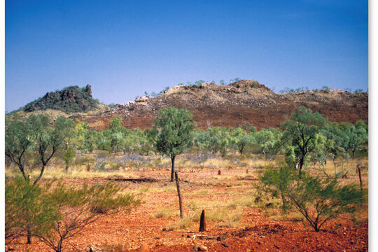 Contrasting landscape