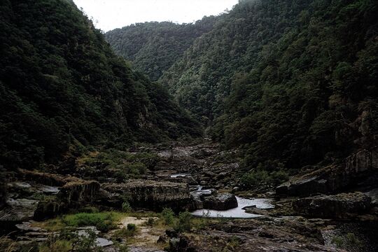 Landscape of a green gorge with small pools of water between rocks.