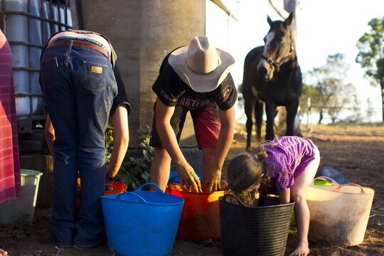 Three people of different ages bend over buckets, with a horse in the background.