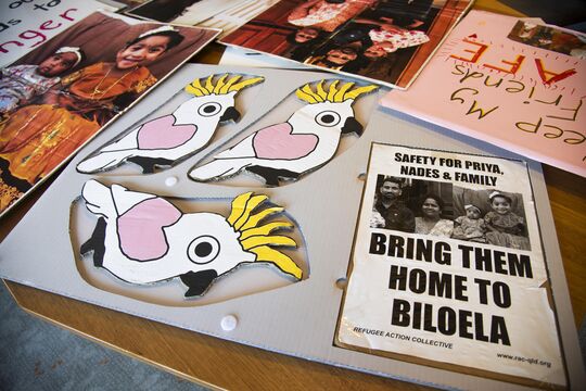 Placards and posters including the Home to Bilo campaign cockatoo logo