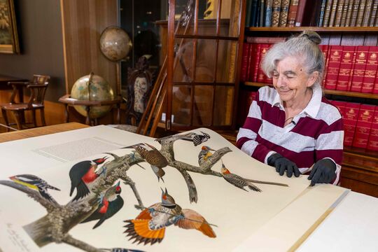 woman wearing black gloves handling large book illustrated with colourful birds
