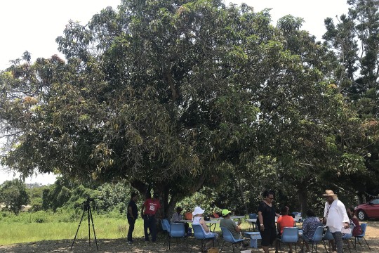 Joskeleigh community members sitting under a mango tree at Joskeleigh, near Rockhampton, Queensland, Dec 2018. 