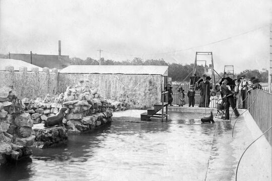 Black and white photo of a vintage zoo exhibit featuring a seal in a rocky pool enclosure. A zookeeper interacts with the seal using a pole, while a group of visitors, including children and adults in early 20th-century attire, observe behind a fence.