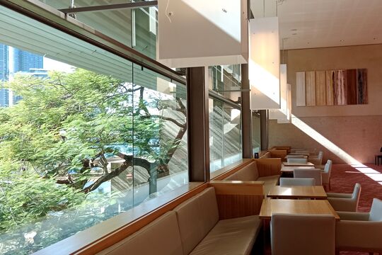 Photograph of State Library of Queensland's Poinciana Lounge with morning light streaming through the windows