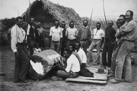 South Sea Islander labourers gathered around a drum outside a hut in Innisfail, ca.1902