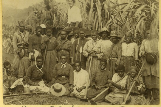 Group of South Sea Islander workers on a property in Cairns